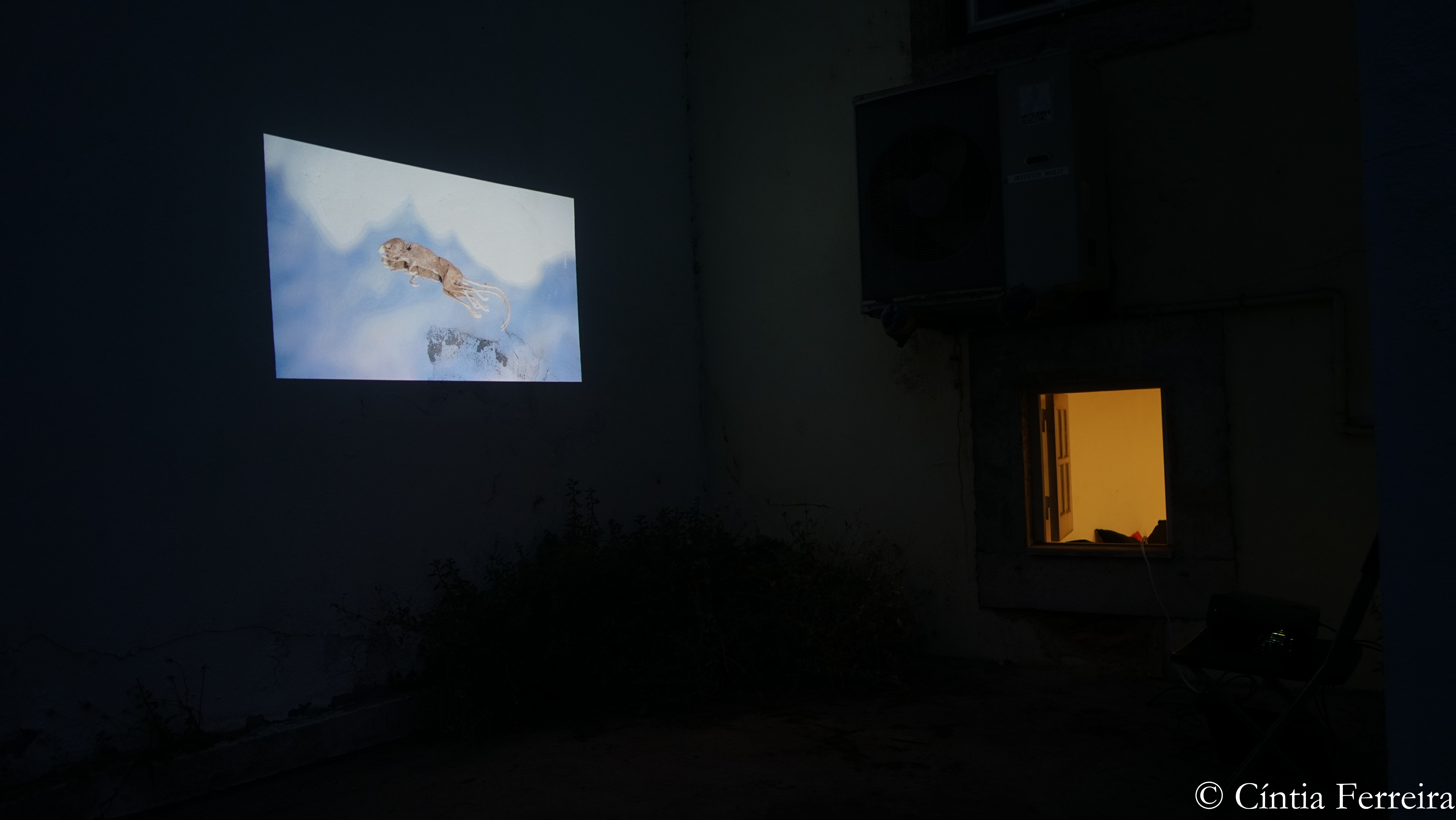 Installation view, Casa da Dona Laura, Lisbon, June 2026
